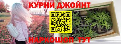 jwh Можга
