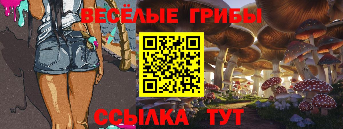 где найти   Вход с VPN  Губкин  Галлюциногенные грибы Magic Shrooms 